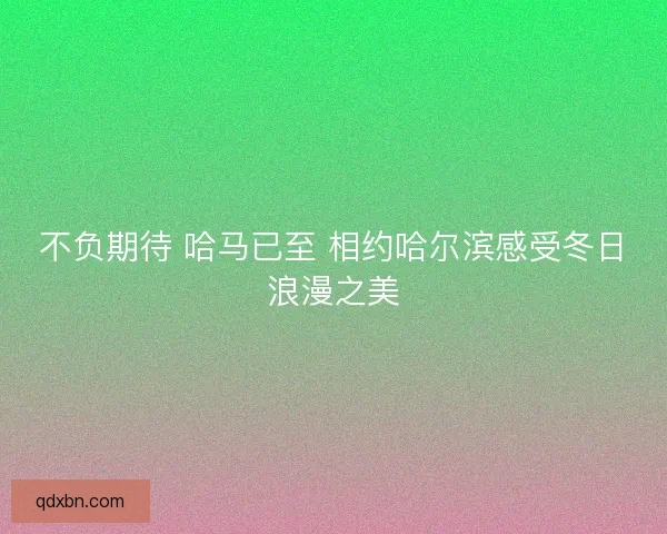 不负期待 哈马已至 相约哈尔滨感受冬日浪漫之美