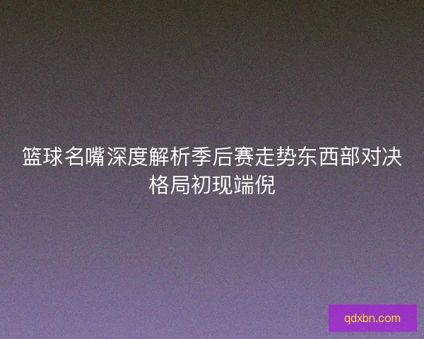 篮球名嘴深度解析季后赛走势东西部对决格局初现端倪